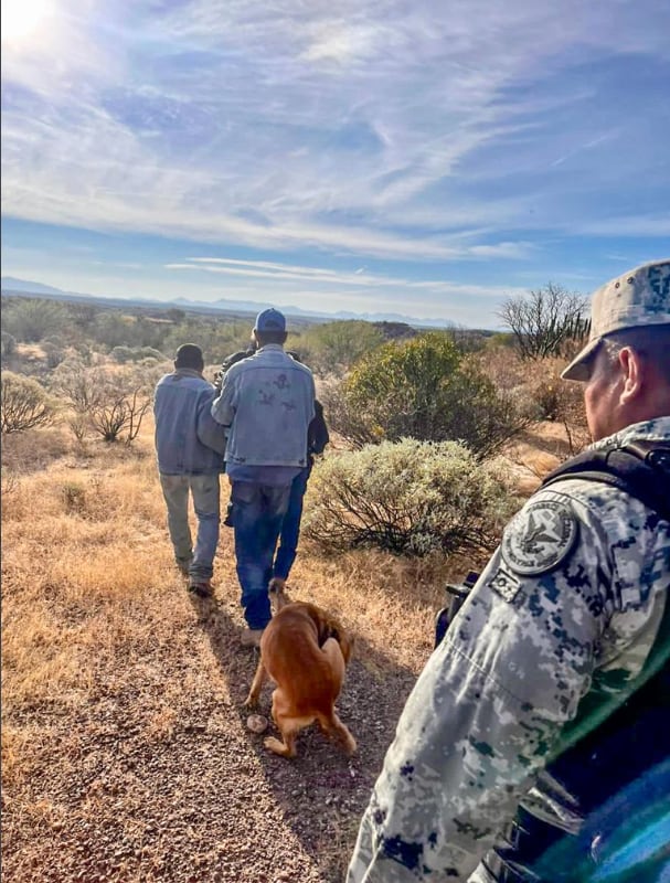 Perro 'Palomo', encontró a su dueño desaparecido