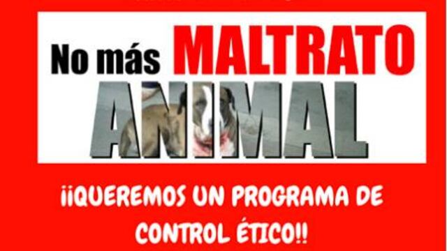 Maltrato Animal.