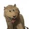 El león disecado de Suecia que logró su fama por feo