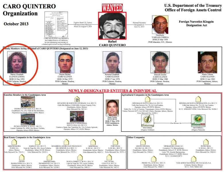 Diagrama de organización de Caro Quintero, donde sale la única foto de María Elizabeth Elenes Lerma