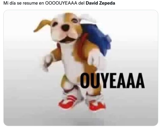 Memes de David Zepeda