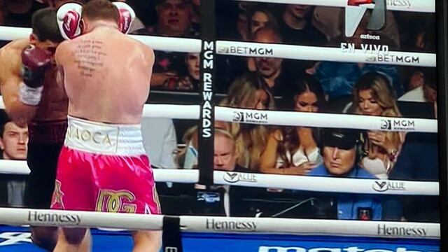 Modelos en la pelea del Canelo
