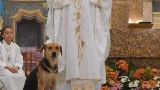 Invita a perros a misa para lograr su adopción.