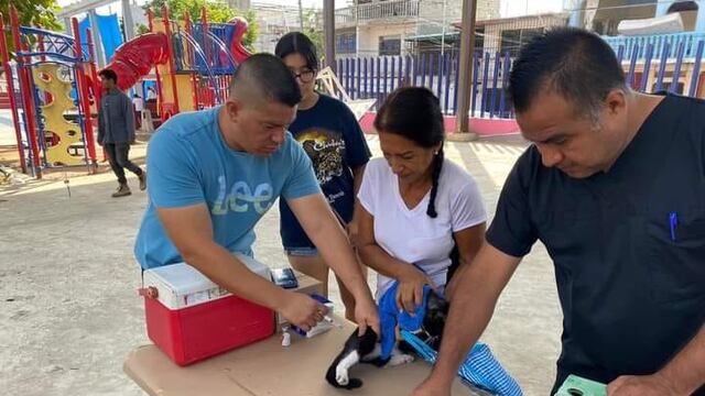 Acapulco instala a la Jornada de vacunación antirrábica