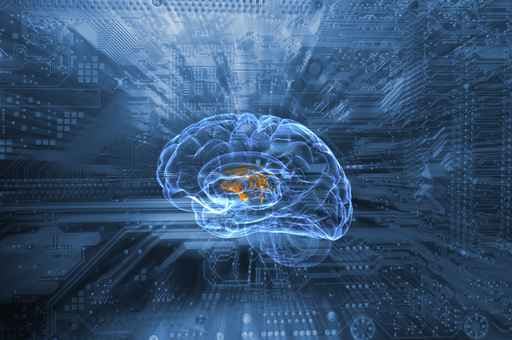 Cerebro