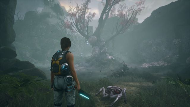 Scars Above