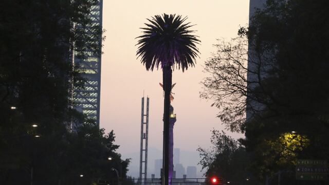 Glorieta de la Palma