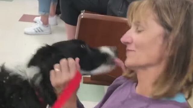 Tras casi dos meses de ardua búsqueda, una llamada les dio esperanzas de encontrarla.