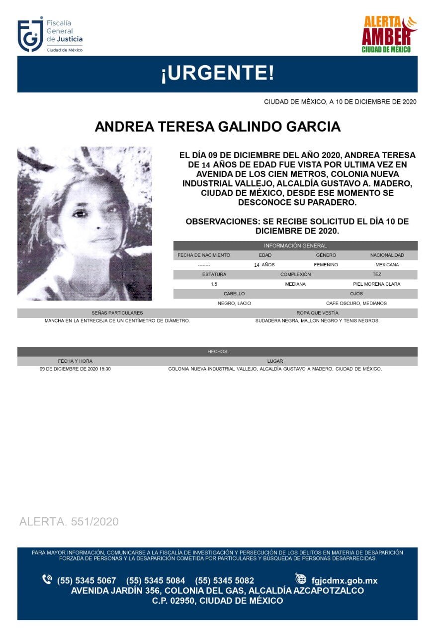 Ficha de búsqueda de Andrea