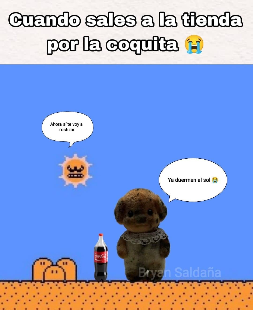 Memes del Ternurín lleno de hongos
