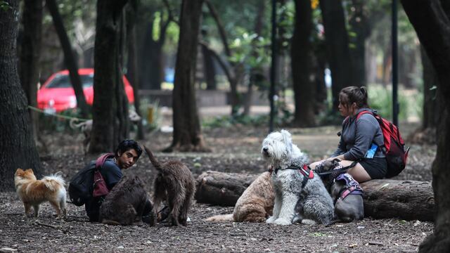 ¿Qué es la Zoonosis y cuáles son sus síntomas?