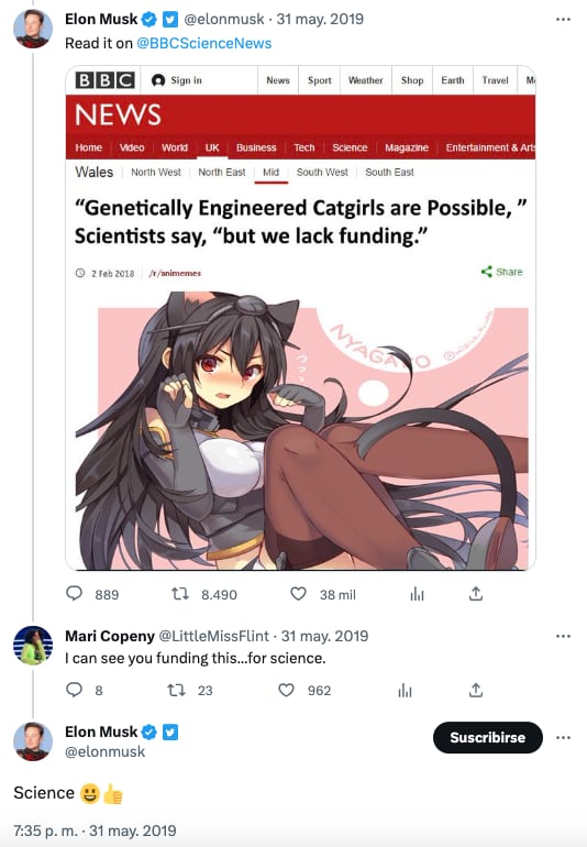 Elon Musk imagina cómo serán las chicas gato y recuerdan su propuesta de robots sexuales en Twitter