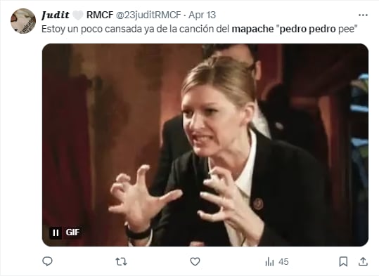 Memes del mapache "Pedro, Pedro"