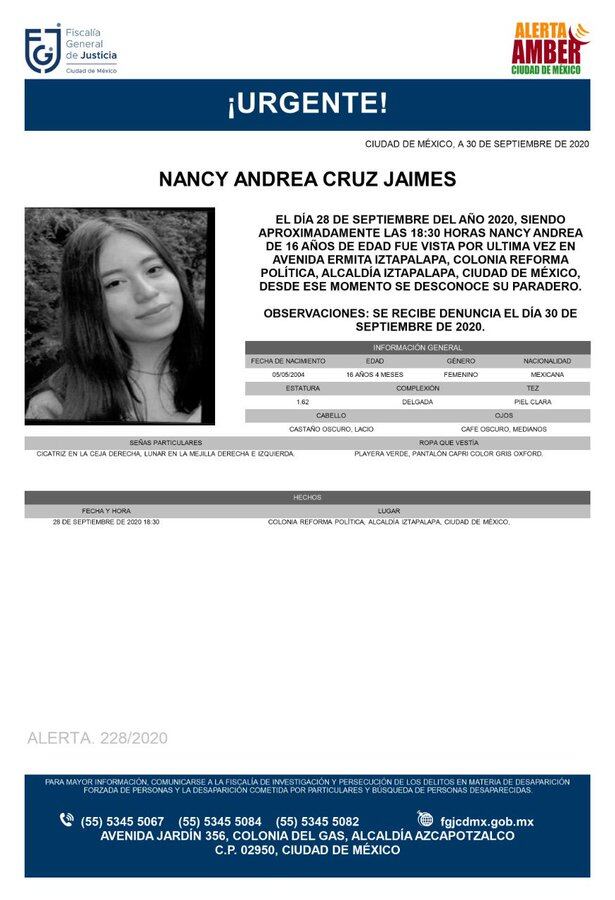 Ficha de búsqueda de Nancy