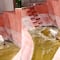 VIDEO: Tigre desnutrido deambula por estanque de agua sucia en el Zoológico de San Juan de Aragón