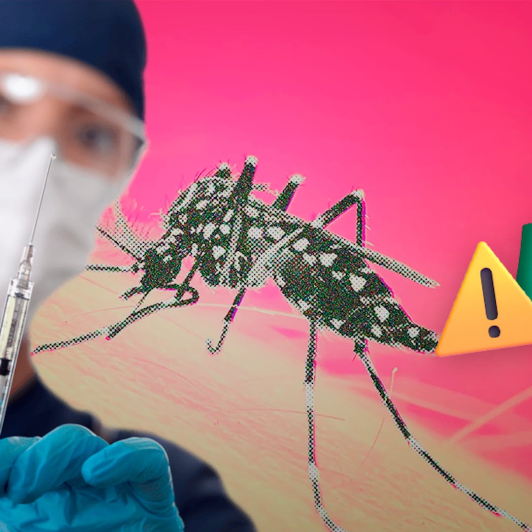El riesgo de epidemias de dengue crece; expertos piden vacunar en México