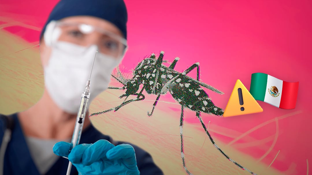 El riesgo de epidemias de dengue crece; expertos piden vacunar en México