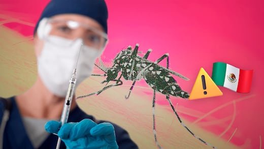 El riesgo de epidemias de dengue crece; expertos piden vacunar en México
