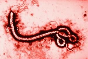 <span>Una enfermera que estuvo en Sierra Leona fue puesta en aislamiento en un hospital de la ciudad de Glasgow.</span>