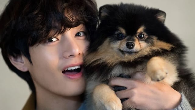 ¿Quién es Yeontan? Kim Taehyung de BTS revela que murió su amado perro