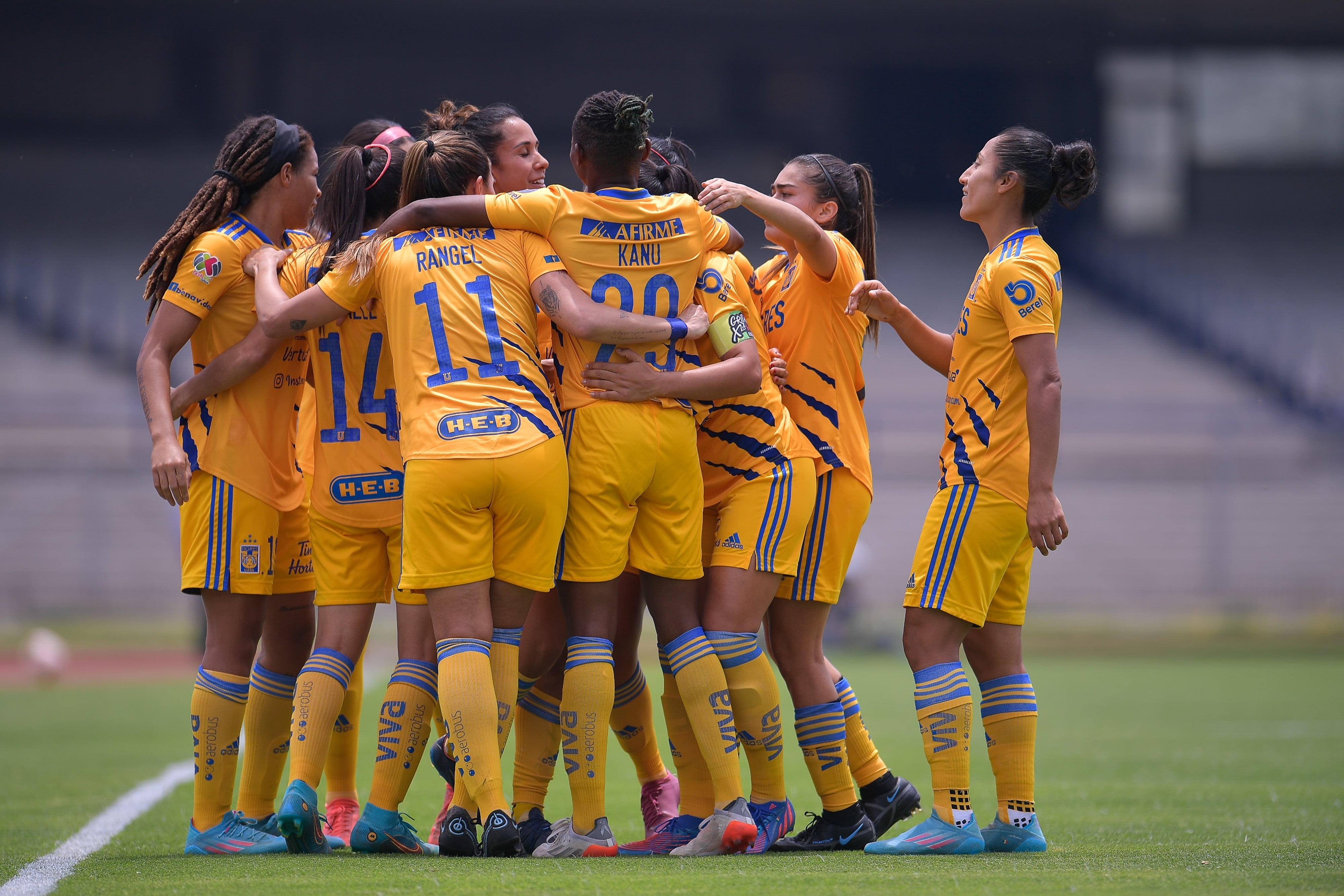 Tigres femenil