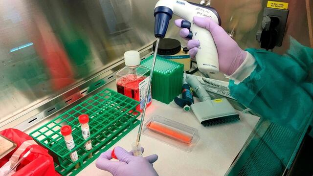 Prueba de coronavirus.