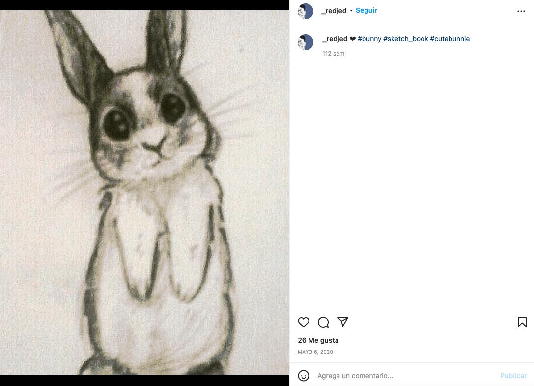 Ilustradora de dibujos del maestro