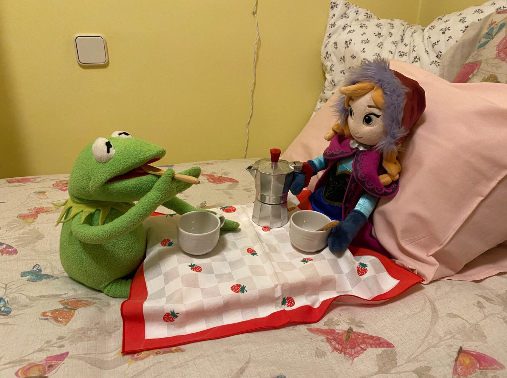 Peluches en escenarios