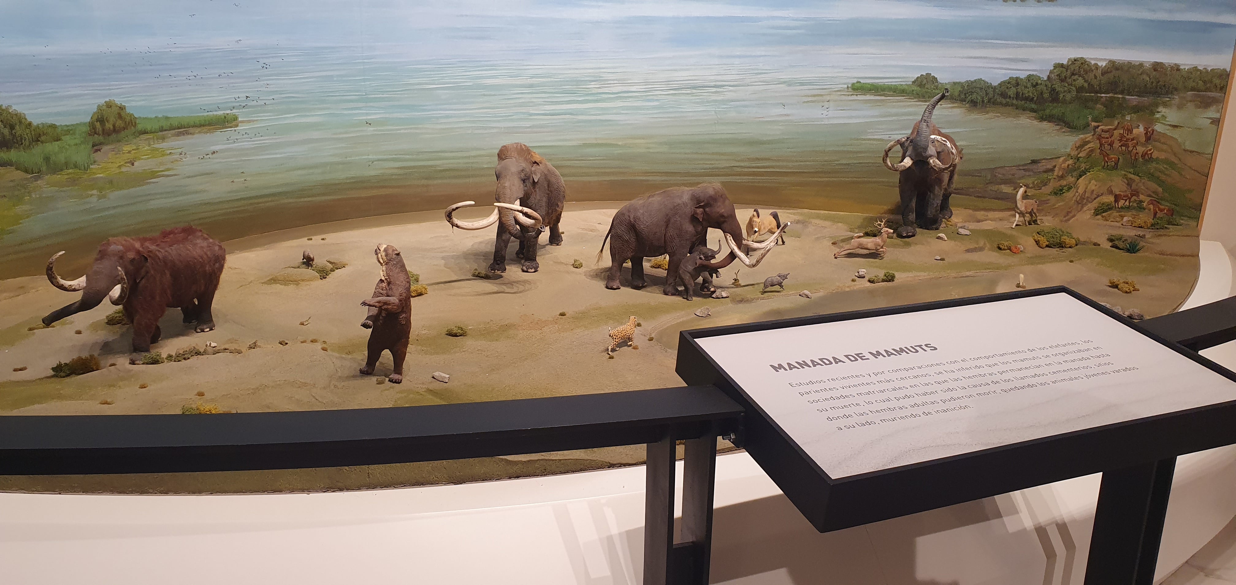 Maqueta de los animales en el museo del mamut