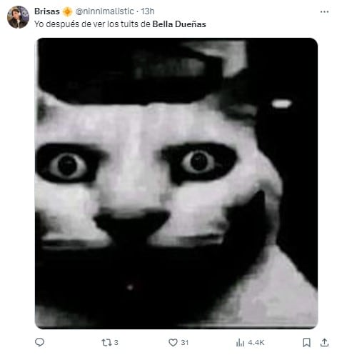 Memes de Bella Dueñas por llenar sus redes de contenido sexual