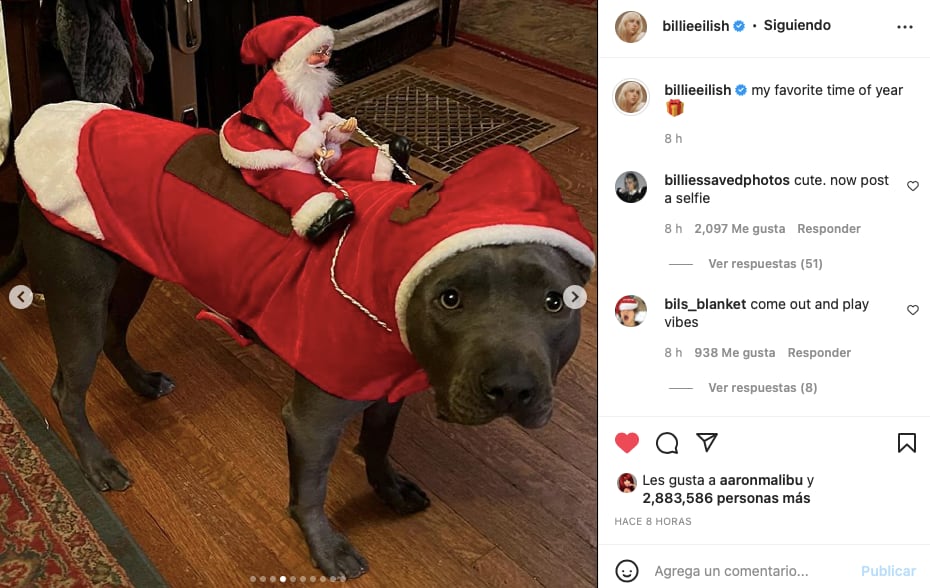 Billie Eilish: Dice que Navidad es su época favorita del año.