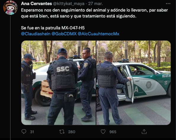 Rescate de tucán en CDMX