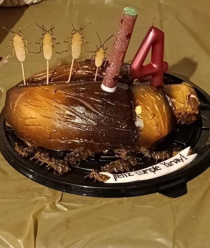 Festeja su cumpleaños con fiesta de cucarachas