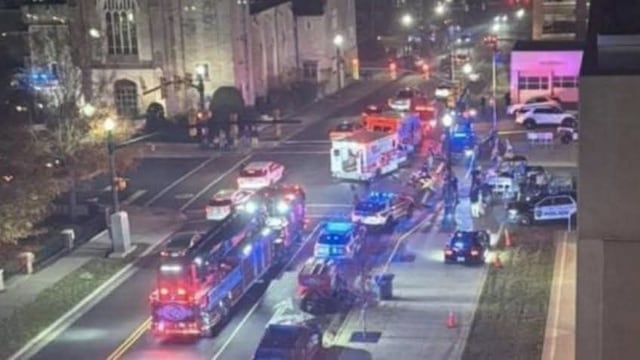 árbol de Navidad en Carolina del Norte