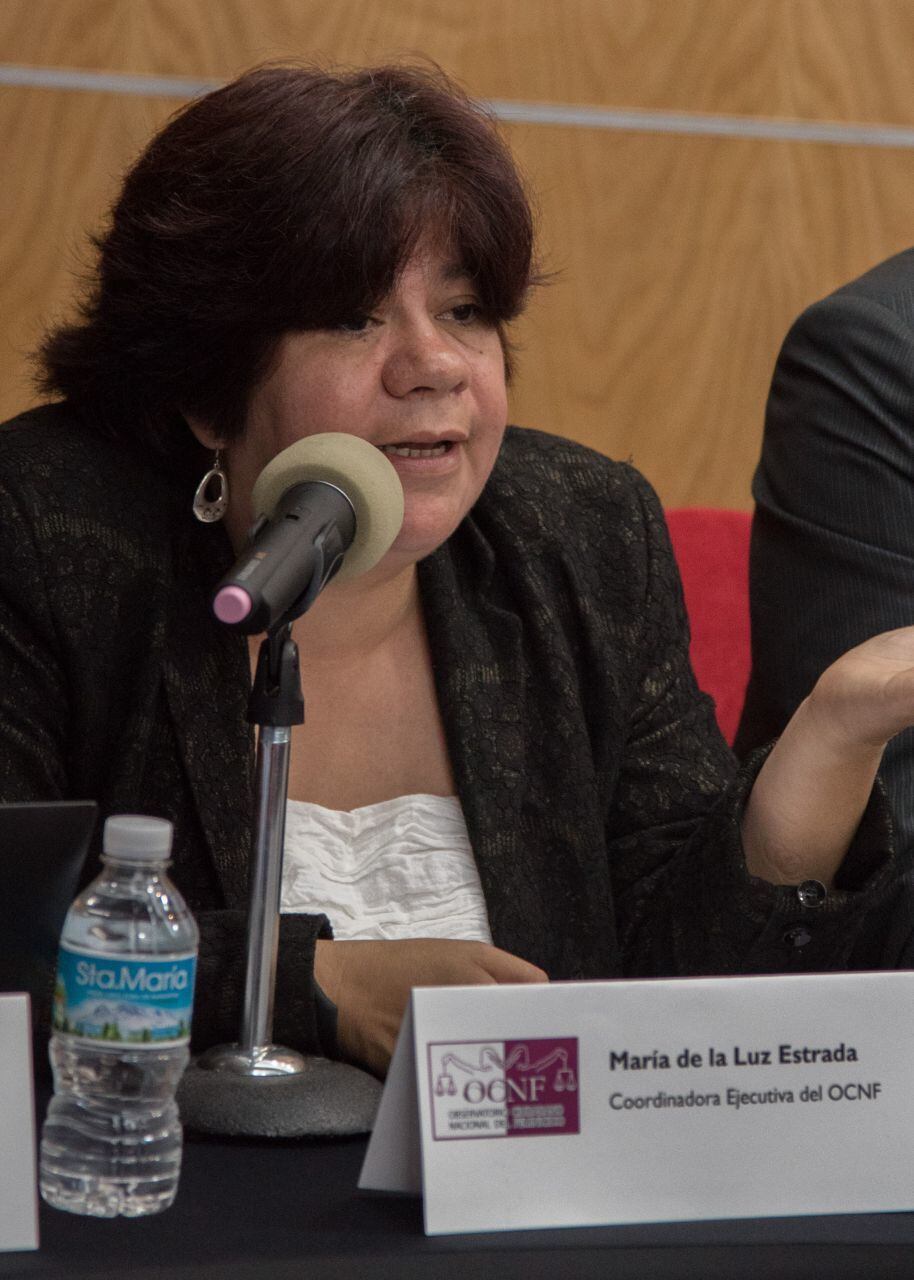 María de la Luz Estrada, coordinadora Ejecutiva del Observatorio Ciudadano Nacional del Feminicidio
