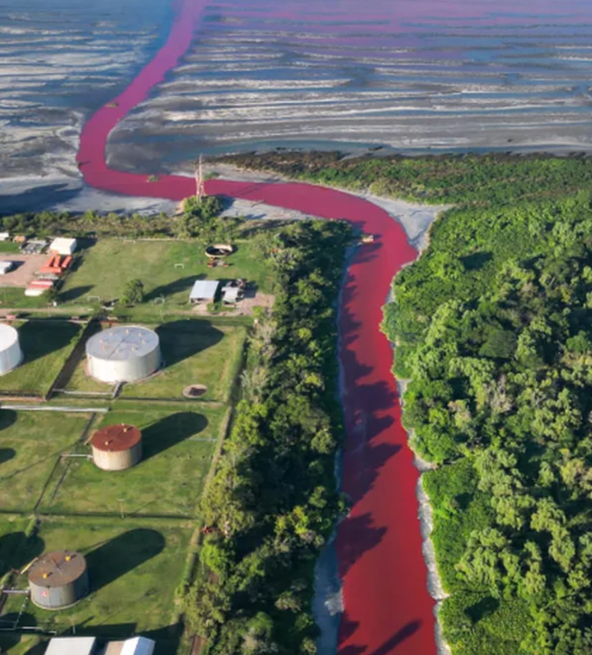 Río Sarandi, Argentina, se tiñe de rojo