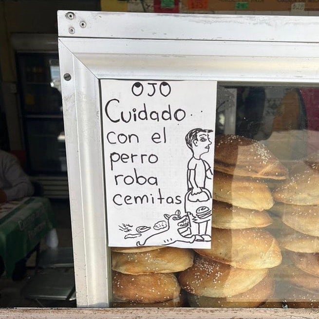 Alertan por perro que roba cemitas