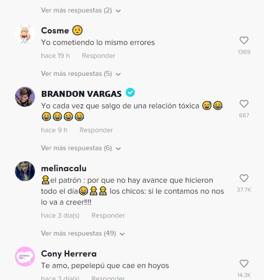 Comentarios al video del Zorrillo bebé