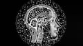 Nuestro cerebro, una máquina de predicciones