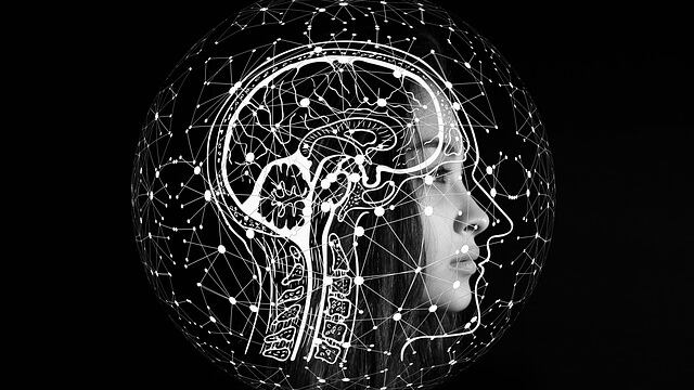 La amígdala central parece jugar un doble papel en la regulación del dolor.