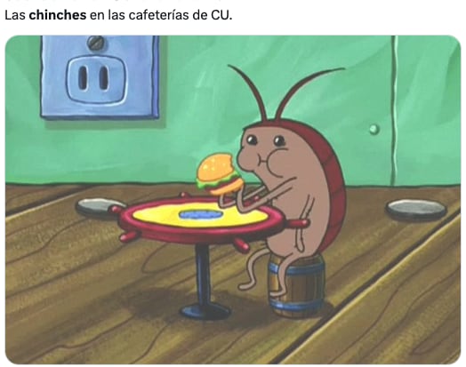 Plaga de chinches de la UNAM en CDMX desata los memes ansiosos de usuarios