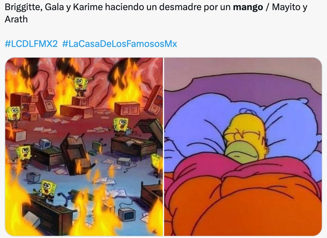 Memes del mango de Briggitte Bozzo en La Casa de los Famosos México 2024