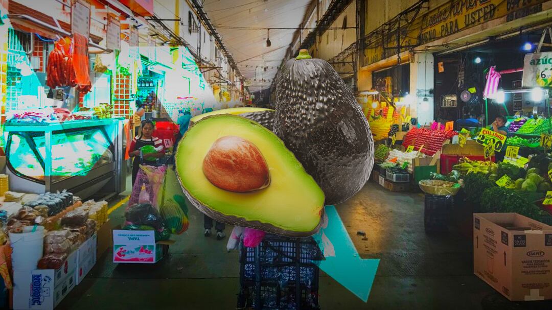Precio del aguacate cae 25% en el Mercado de Abastos por sobreoferta