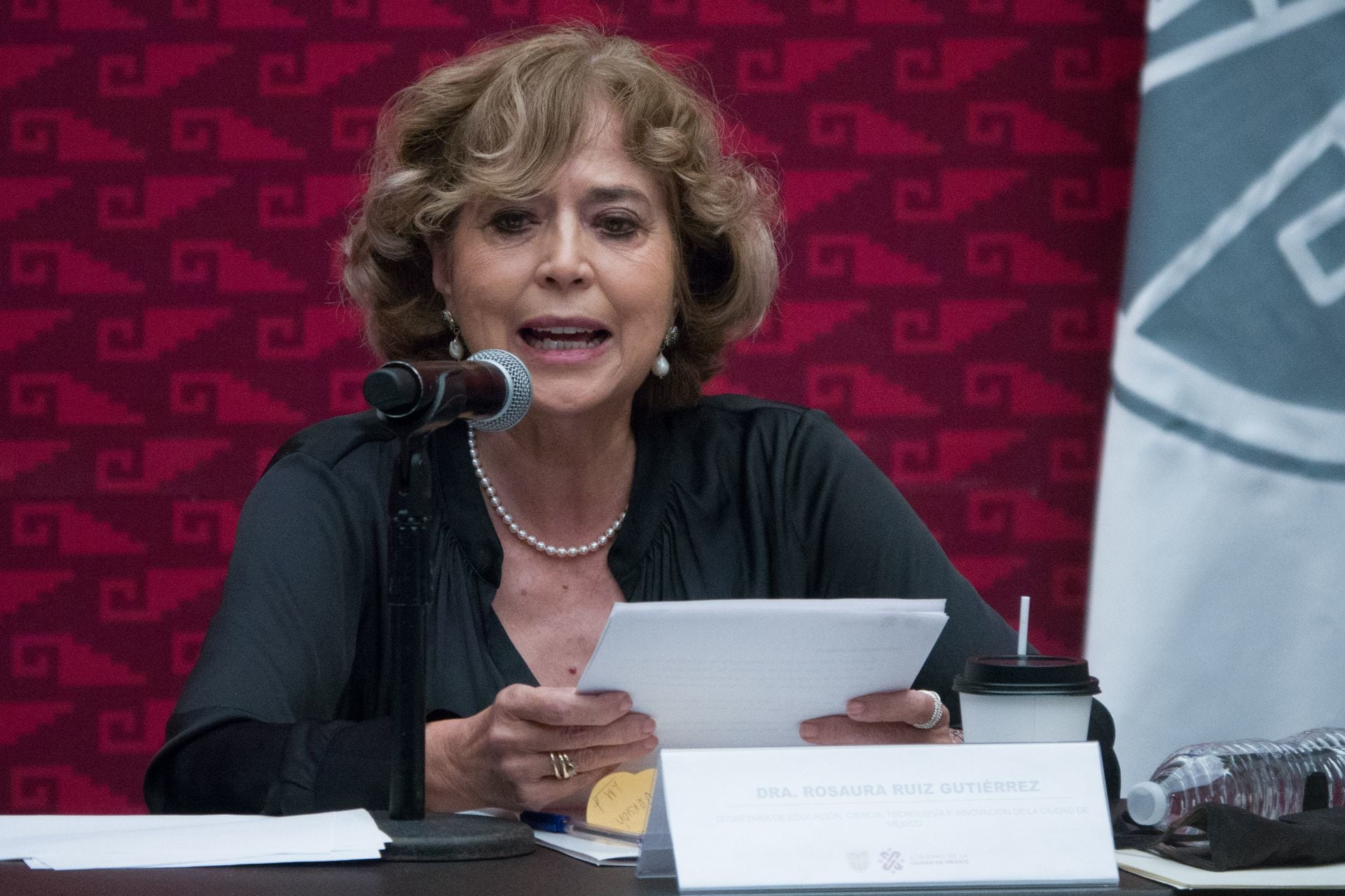 Rosaura Ruiz Gutiérrez