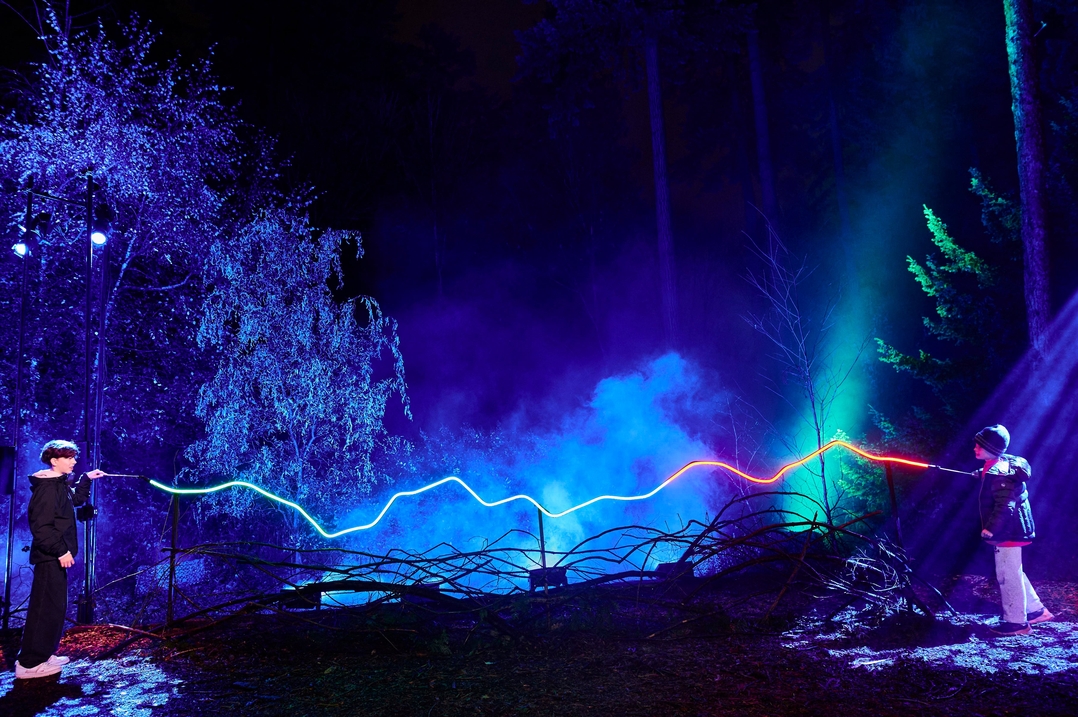 Harry Potter: La Experiencia del Bosque Prohibido