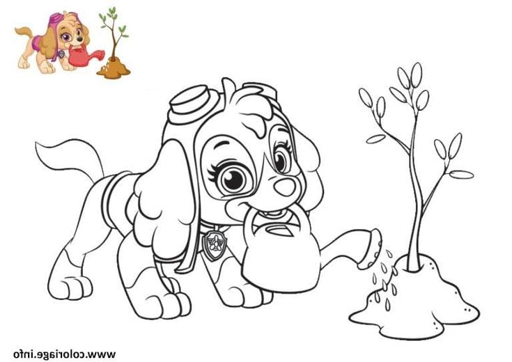 Dibujos de Skye de Paw Patrol para colorear e imprimir con motivos de Pascua