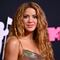 Ya se sabe quién es la fan de Shakira empujada y su identidad te va a sorprender