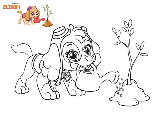 Dibujos de Paw Patrol de vacaciones para colorear