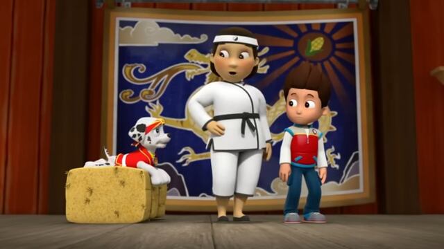 Paw Patrol Día Mundial del Karate