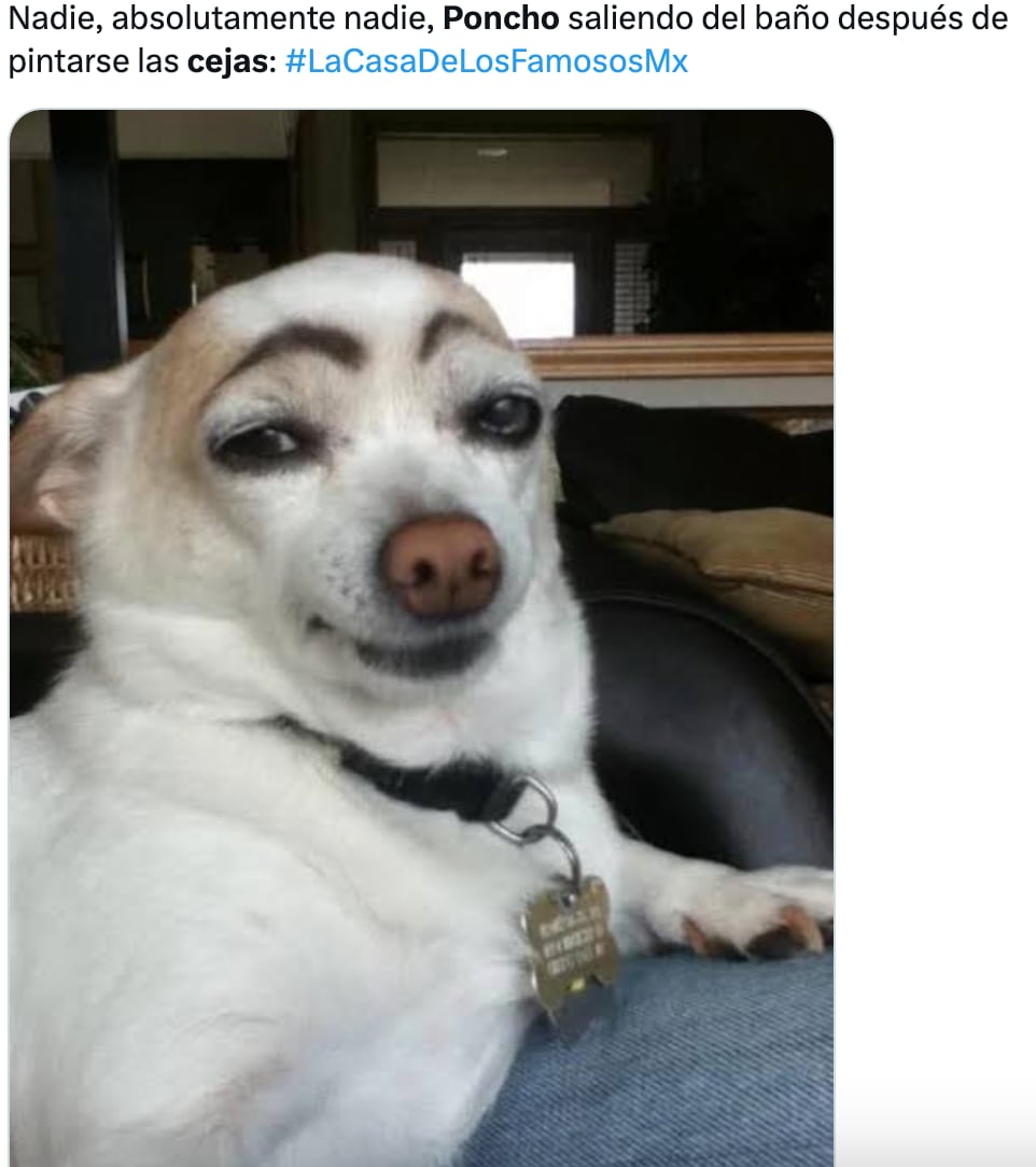 Poncho de Nigris y sus cejas desatan memes en redes sociales